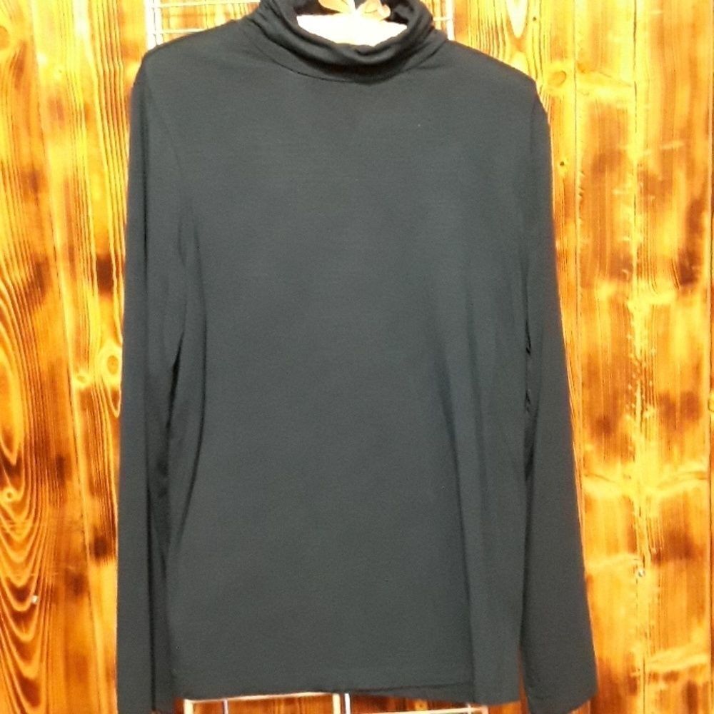 Chico's Teal Turtleneck Size 1(8-10)